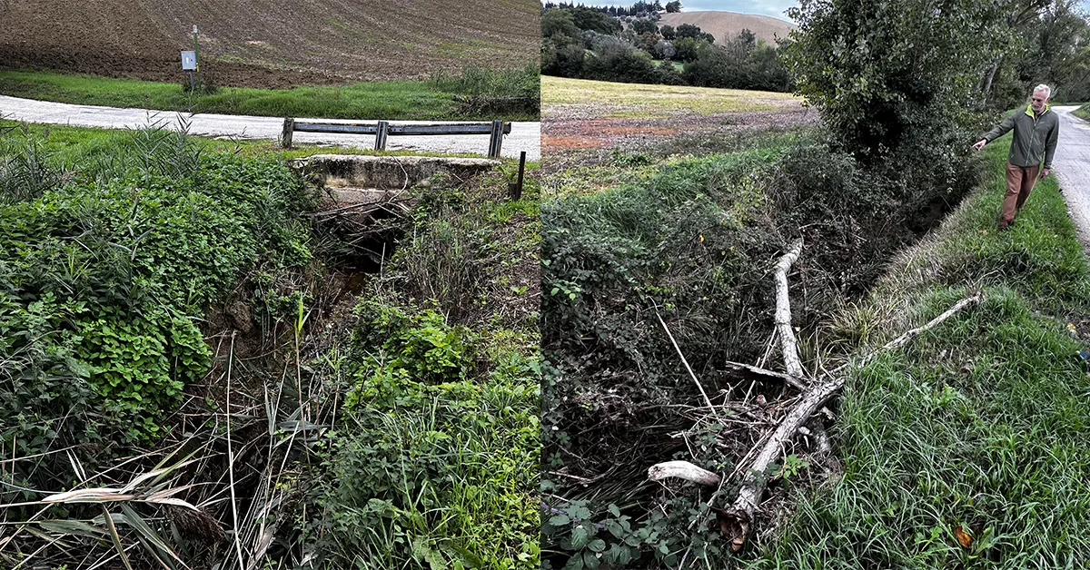 I fossi del territorio dimenticati: l’amministrazione intervenga con urgenza