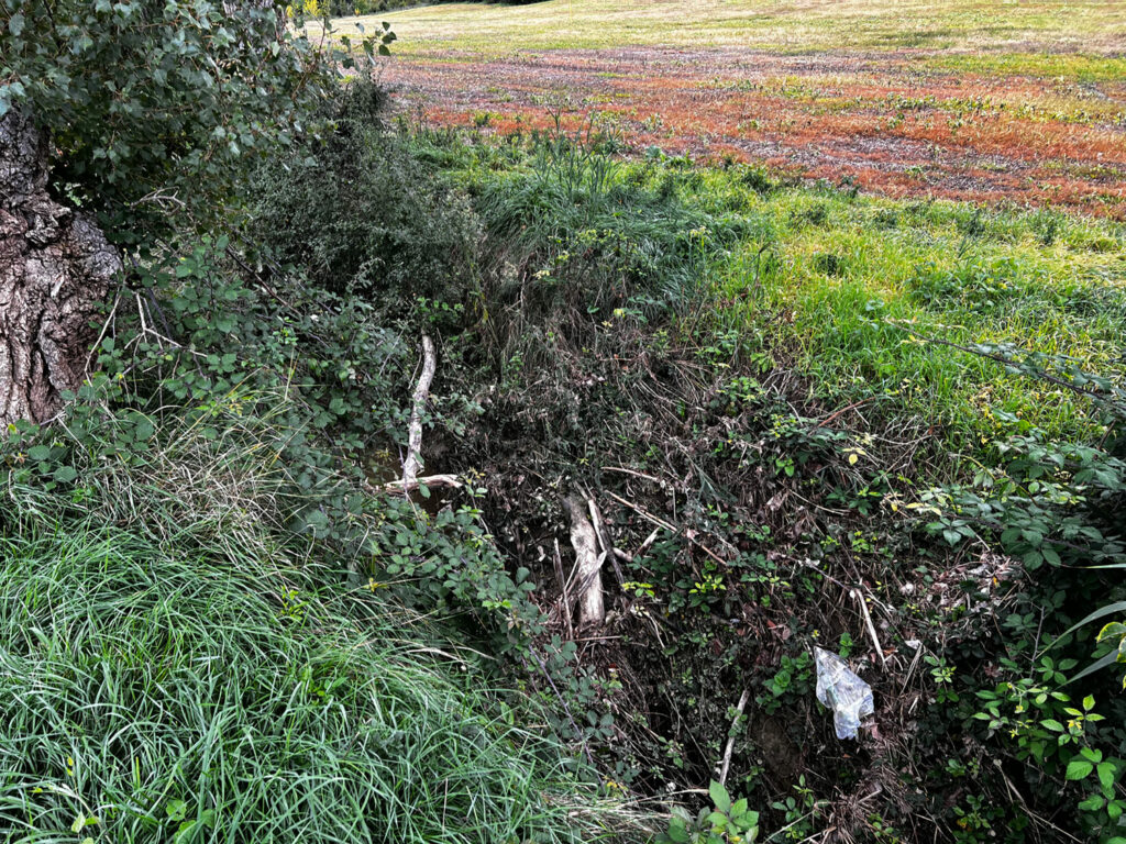 In questo punto, l'acqua del canale non è neanche visibile