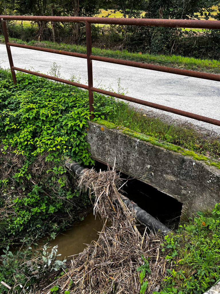 Molti rami secchi a ridosso del tunnel