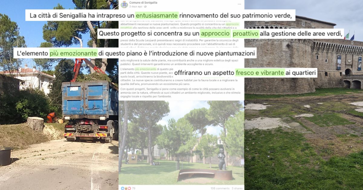 A sinistra, abbattimenti di pini in corso in via Mercantini. Al centro il post su Facebook del Comune e a destra il prato della Rocca danneggiato dalla pista di pattinaggio